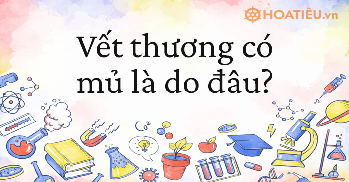 Vết thương có mủ là do đâu?