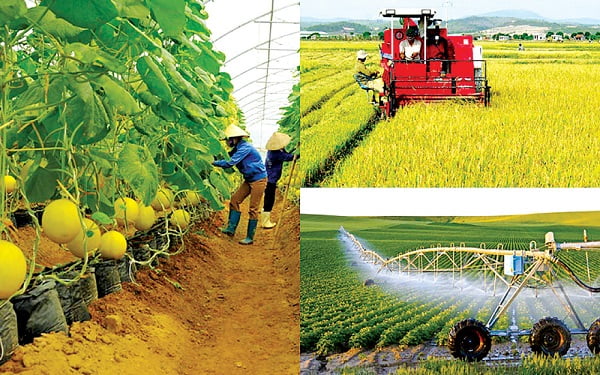 Ví dụ chứng minh rằng nước ta đang phát triển ngày càng có hiệu quả nền nông nghiệp nhiệt đới?