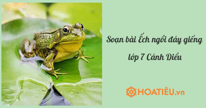 Soạn bài Ếch ngồi đáy giếng lớp 7 Cánh Diều