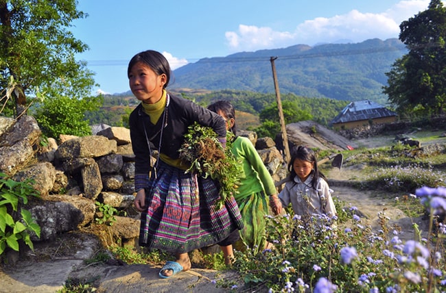 Tác giả Tô Hoài Vợ chồng A Phủ