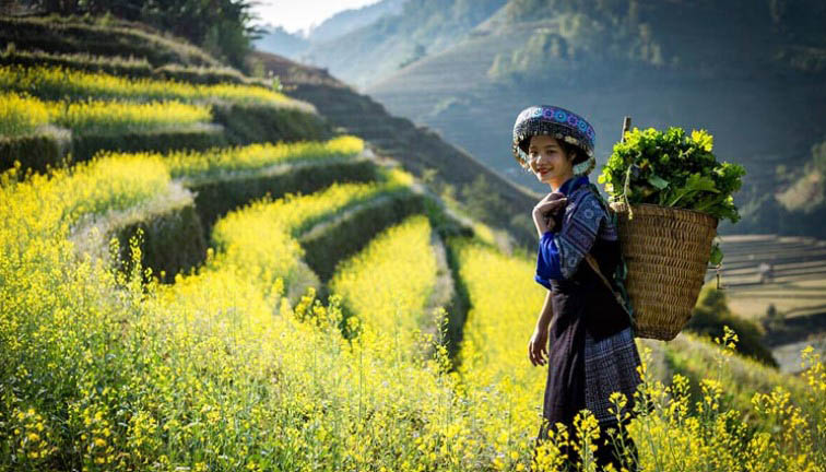 Sức sống tiềm tàng của Mị trong đêm tình mùa xuân