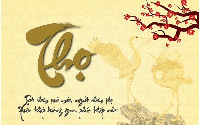 Bài phát biểu chúc mừng thọ người cao tuổi