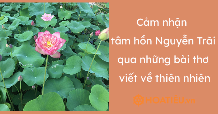 Cảm nhận về tâm hồn Nguyễn Trãi qua những bài thơ viết về thiên nhiên 