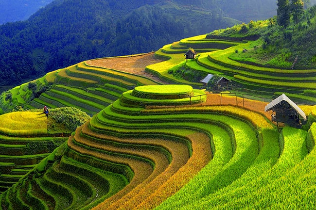 Phân tích nhân vật A Phủ