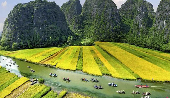 Vai trò của yếu tố biểu cảm trong bài Đại cáo qua các dẫn chứng cụ thể