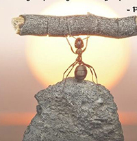 Đọc mở rộng theo thể loại Đừng từ bỏ cố gắng lớp 7 CTST