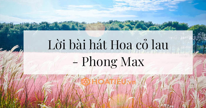 Lời bài hát Hoa cỏ lau - Phong Max - Hoa cỏ lau lyrics - HoaTieu.vn