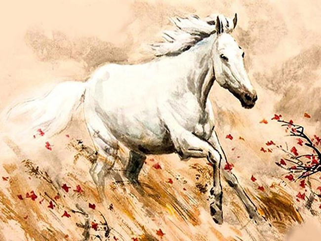 Coi sao hạn tuổi Ngọ