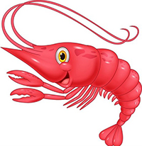 Đầu năm có nên ăn tôm không?