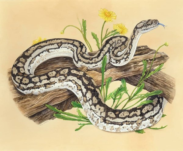 Tuổi Tỵ khai trương ngày nào tốt