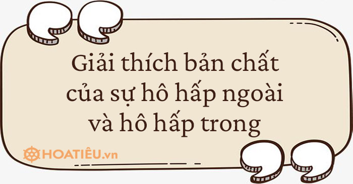 Giải thích bản chất của sự hô hấp ngoài và hô hấp trong