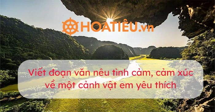 Viết đoạn văn nêu tình cảm, cảm xúc về một cảnh vật em yêu thích