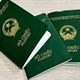 Phân loại visa theo mục đích nhập cảnh 2024