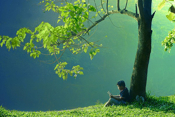 Soạn bài Thực hành tiếng Việt lớp 10 tập 2 trang 15 CTST