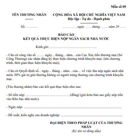 Mẫu Báo cáo kết quả thực hiện nộp ngân sách nhà nước Mẫu số 09