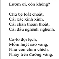 Soạn bài Lượm ngắn nhất