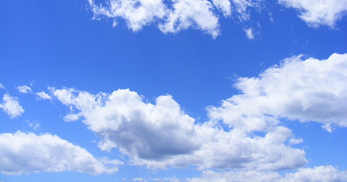 Câu 4 trang 25 SGK văn 7 Cánh Diều tập 2