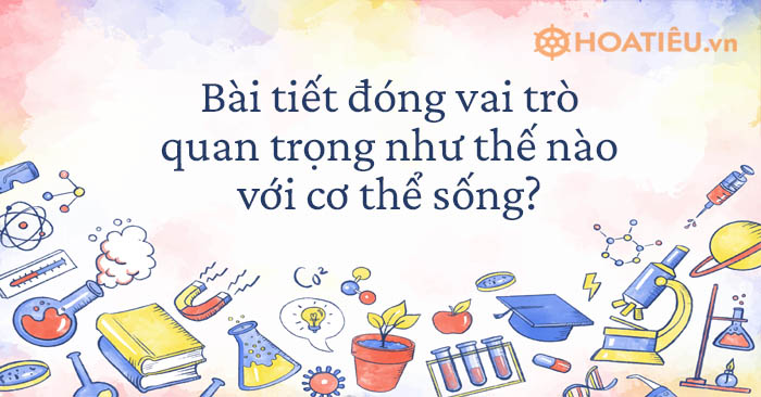 Bài tiết đóng vai trò quan trọng như thế nào với cơ thể sống?