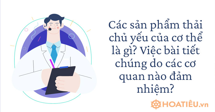 Các sản phẩm thải chủ yếu của cơ thể là gì? 