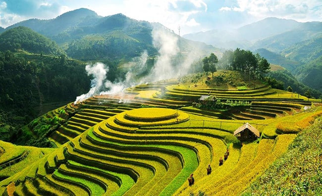 Giới thiệu đánh giá về nội dung và nghệ thuật của một tác phẩm văn học