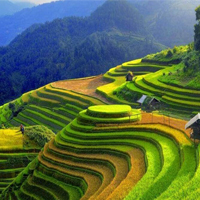 Biện pháp chủ yếu để hạn chế xói mòn trên đất dốc ở vùng đồi núi nước ta là?