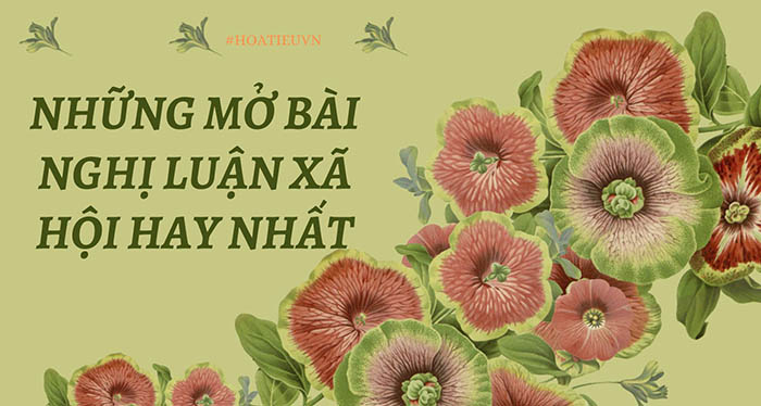 Cách mở bài nghị luận xã hội