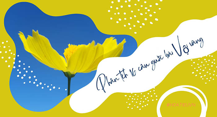 Dàn ý Phân tích 16 câu giữa bài Vội vàng 