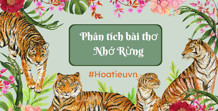 Dàn ý Phân tích bài thơ Nhớ rừng