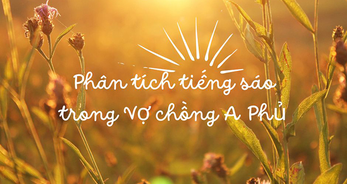 Phân tích tiếng sáo trong Vợ chồng A Phủ