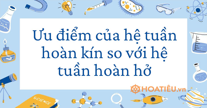 Ưu điểm của hệ tuần hoàn kín so với hệ tuần hoàn hở