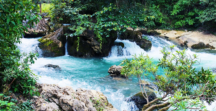 Đoạn văn cảm nhận của em về phong thái của Bác trong bài thơ Tức cảnh Pác Bó