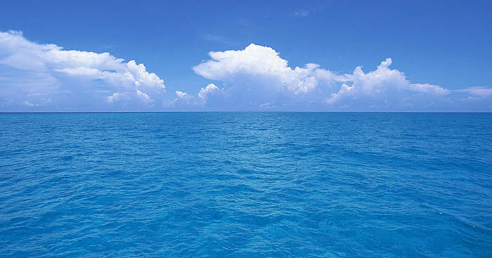 Soạn bài Tự đánh giá Rồi ngày mai con đi