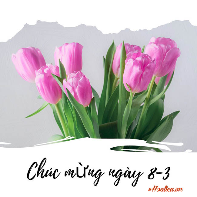 Thiệp chúc mừng ngày Quốc tế phụ nữ 8/3