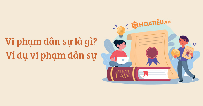 Ví dụ vi phạm dân sự 2025