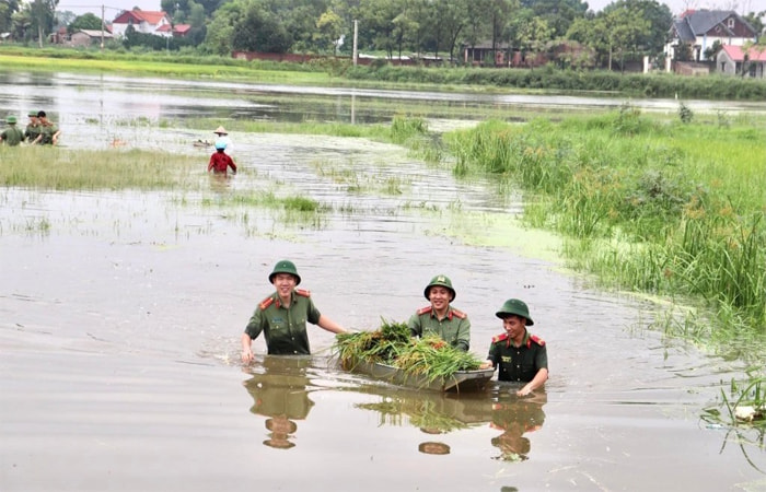 Bài dự thi Cuộc thi viết với chủ đề “Bảo đảm an ninh, trật tự ở cơ sở”
