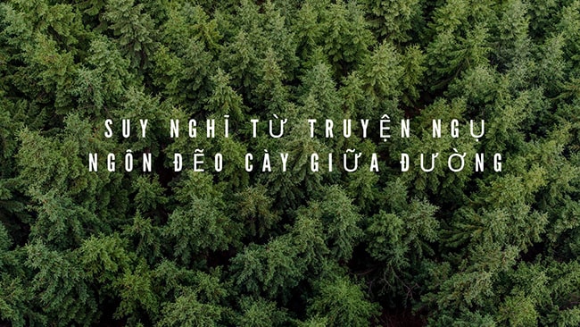 Bài học rút ra từ truyện ngụ ngôn Đẽo cày giữa đường