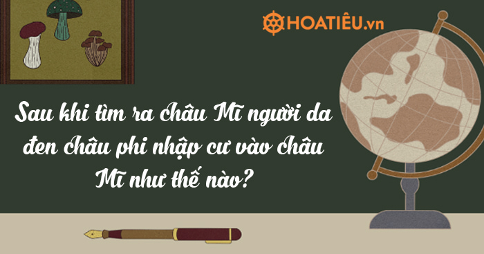 Sau khi tìm ra châu Mĩ người da đen châu phi nhập cư vào châu Mĩ như thế nào?