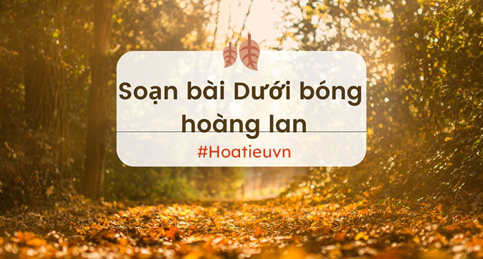 Soạn Dưới bóng hoàng lan ngắn gọn