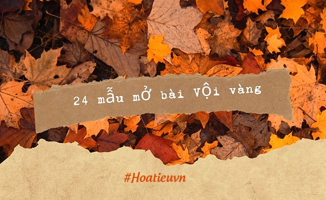 Mở bài Vội vàng nâng cao