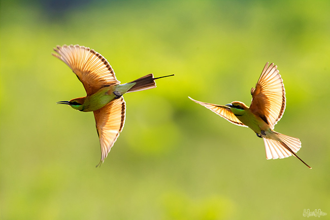 Dàn ý phân tích quan niệm về thời gian trong Vội vàng