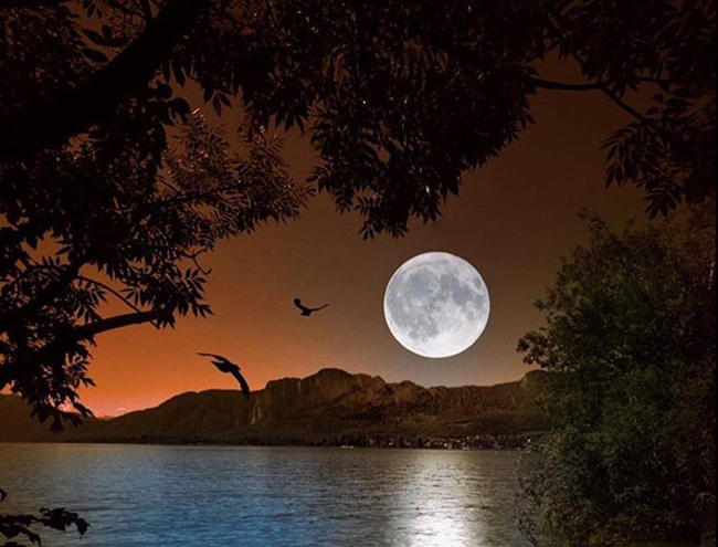  Mở rộng, liên hệ Chí Phèo 