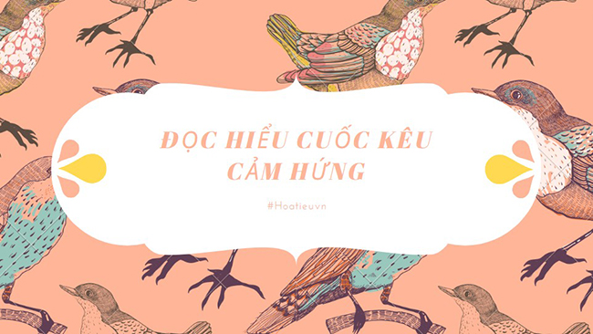  Đọc hiểu Cuốc kêu cảm hứng 
