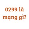 0299 là mạng gì?