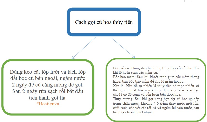 Câu 5 trang 51 SGK Ngữ văn 7 tập 2 CTST