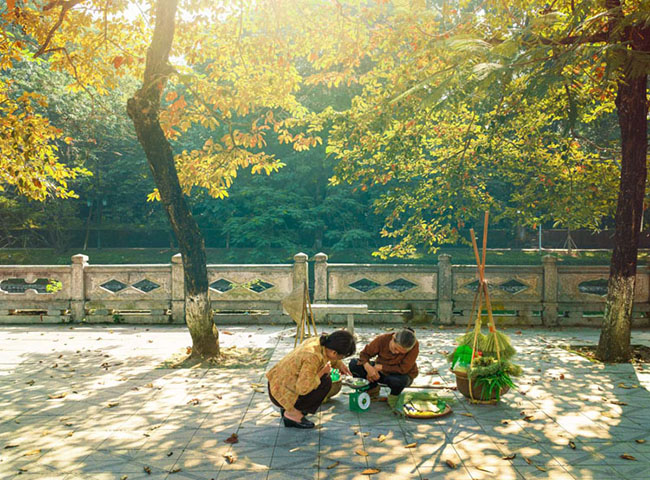 Soạn bài Đất nước Cánh Diều ngắn gọn