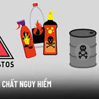 Em sẽ làm gì khi thấy GDCD 8 Bài 15