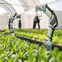 Lấy ví dụ cụ thể về một biểu hiện của nền nông nghiệp hiện đại