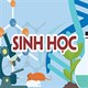 Trắc nghiệm Sinh học 6 Chân trời sáng tạo có đáp án