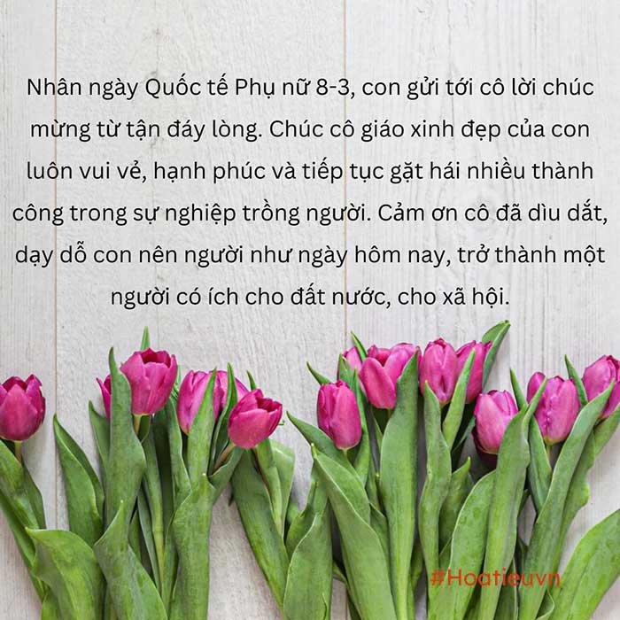 Lời chúc mừng cô giáo ngày 8 tháng 3 - Tôn vinh nét đẹp và công sức của người thầy