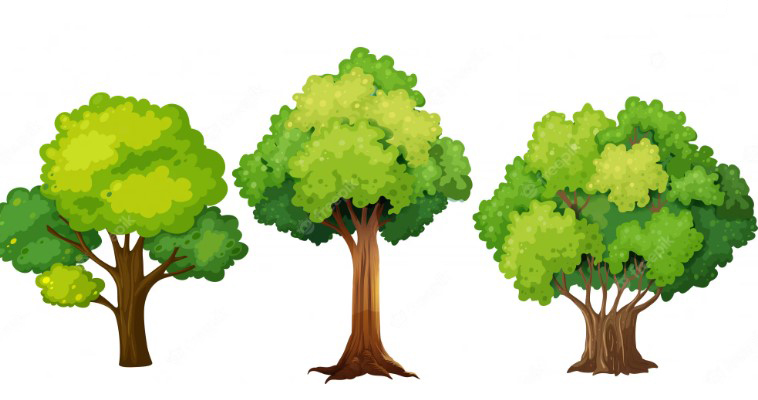 Viết đoạn văn về vai trò của cây xanh trong cuộc sống